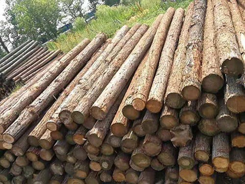 ɼľЈϵă